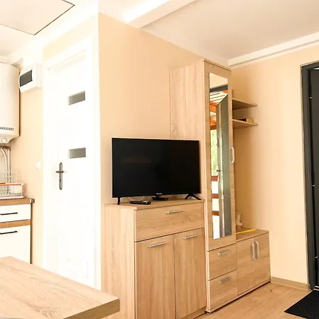 Holiday home Zieleniec *